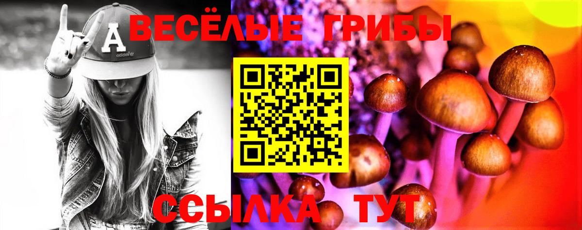 Псилоцибиновые грибы Cubensis  магазин    Лыткарино  Вход с VPN 
