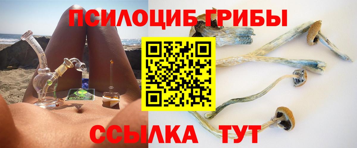 Псилоцибиновые грибы Psilocybine cubensis Лыткарино