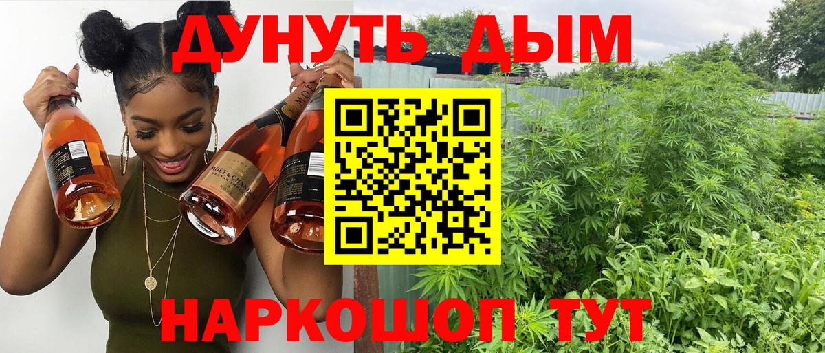Каннабис Amnesia  Вход с VPN  Лыткарино  Бошки марихуана планчик  Марихуана тримм 